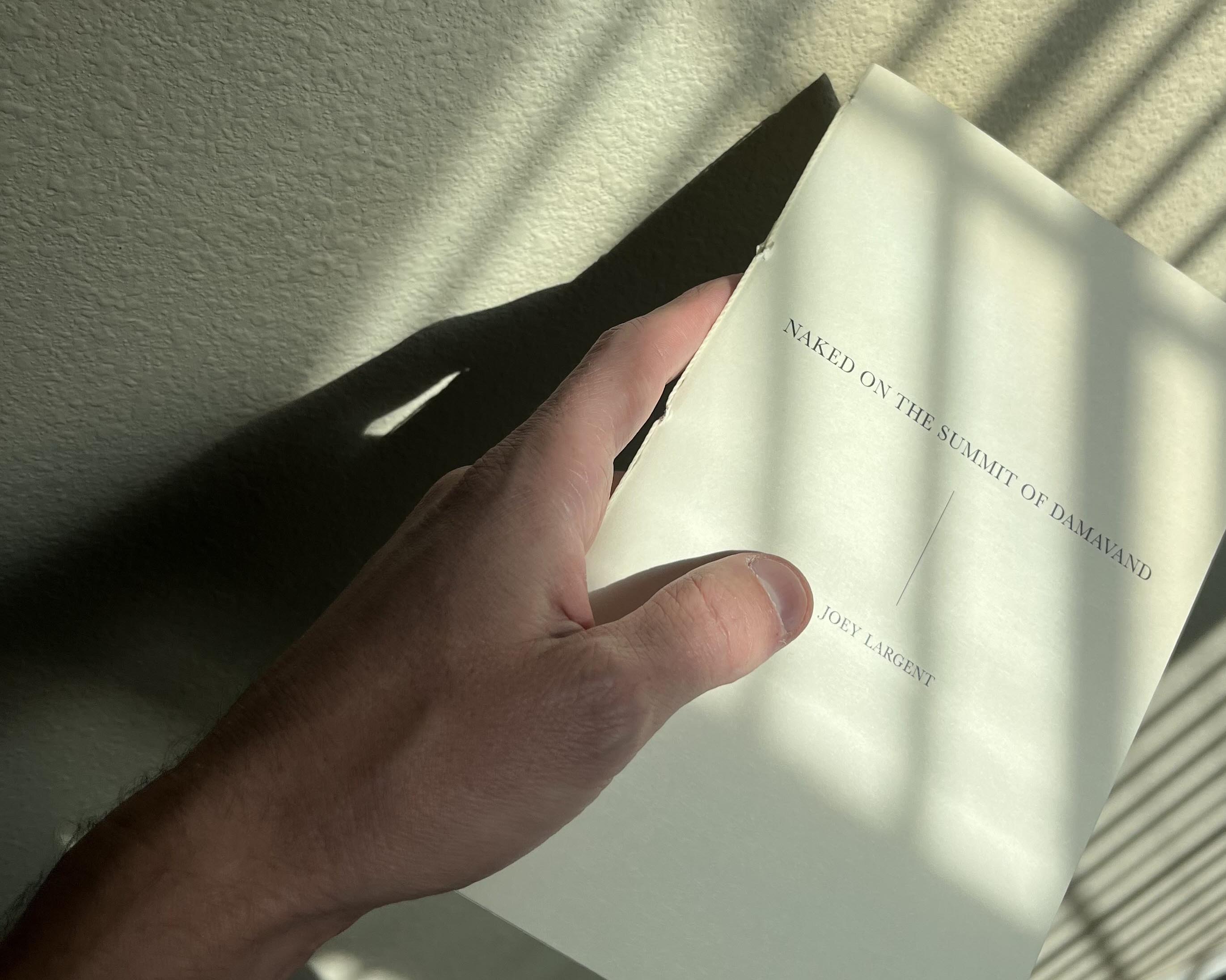 Cover of Naked on the Summit of Damavand