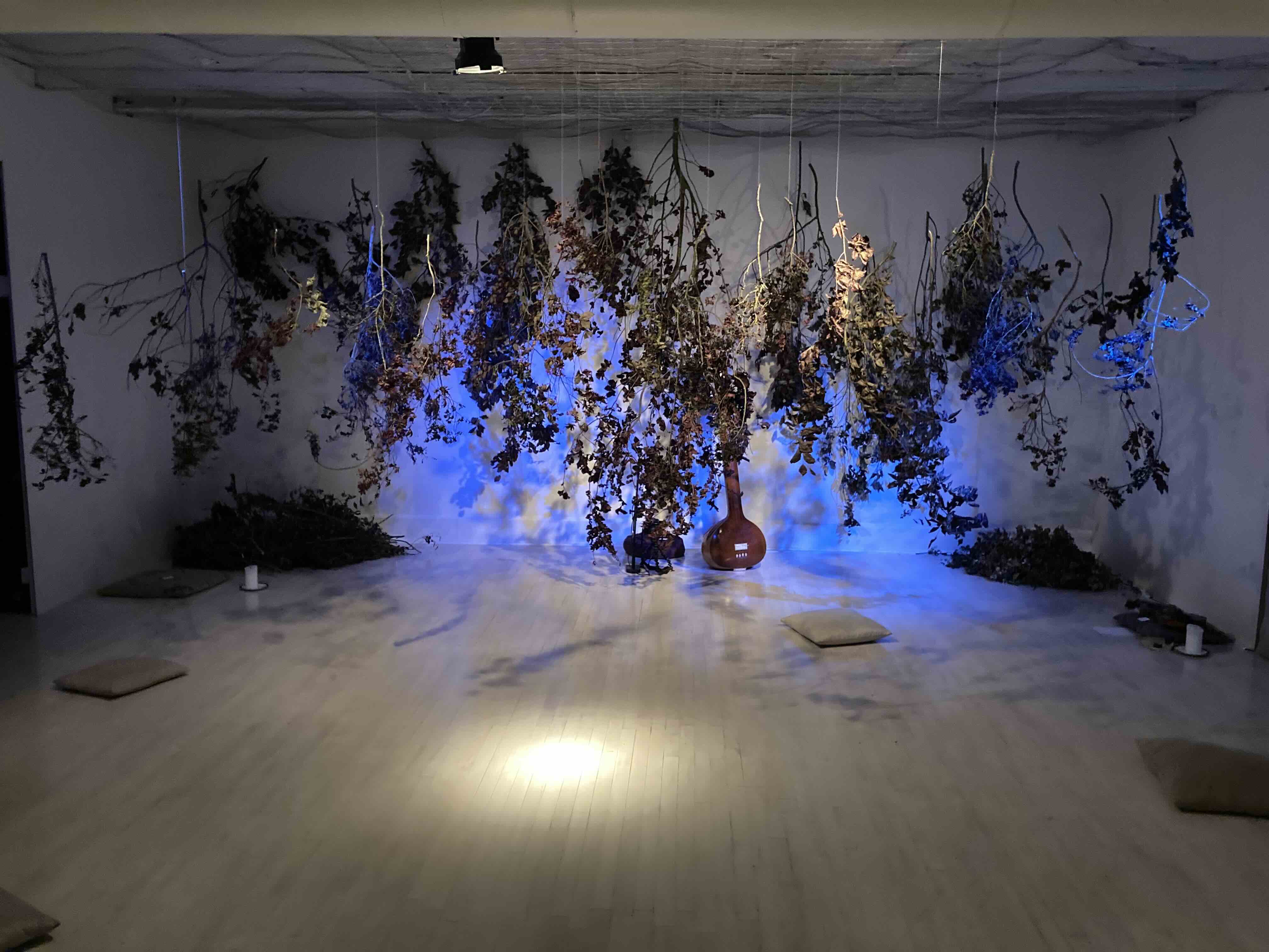 Empty erformance space before the concert