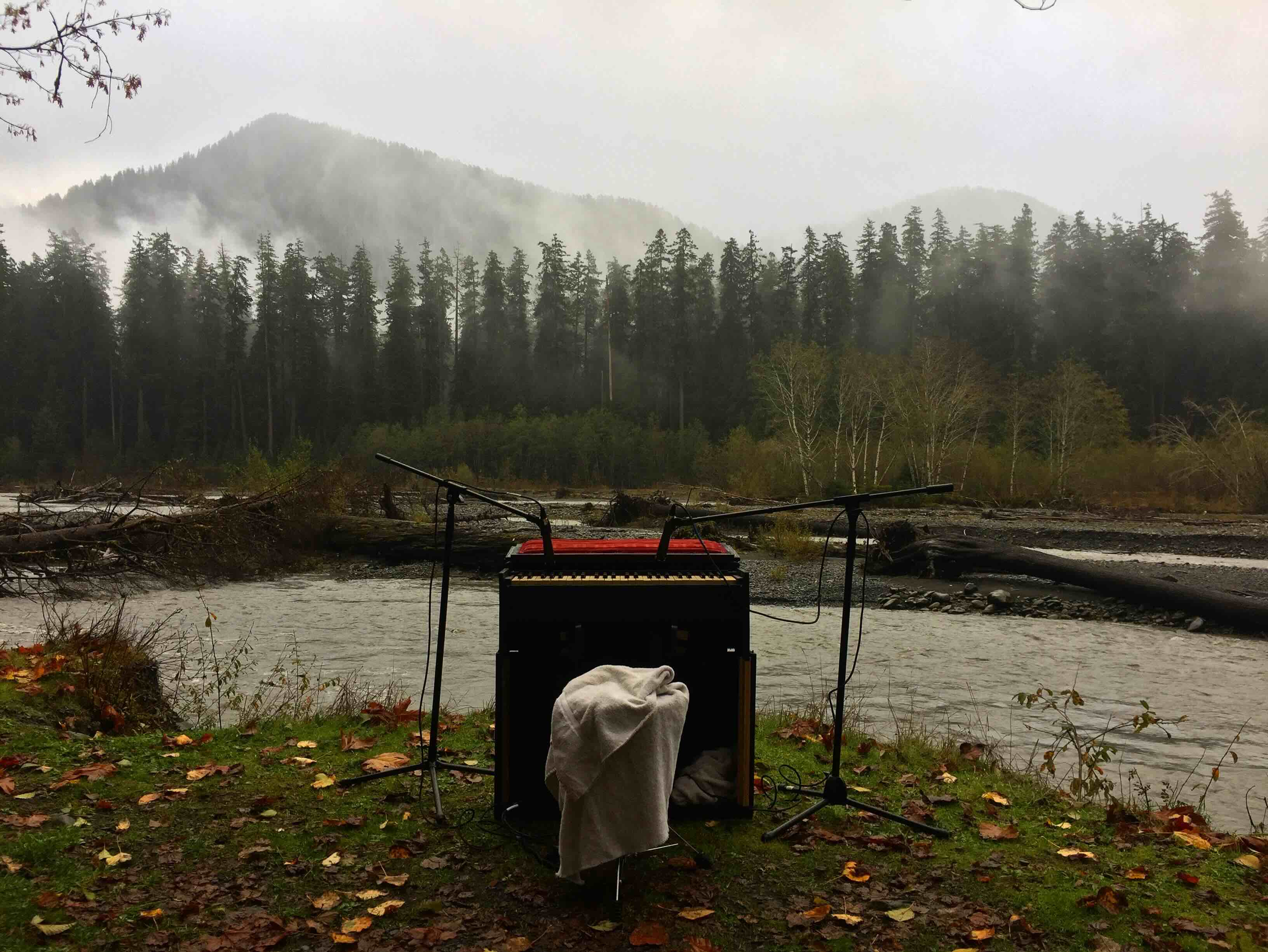Reed organ set up beside a river in the Hoh Rainforest with microphones and forest in the background